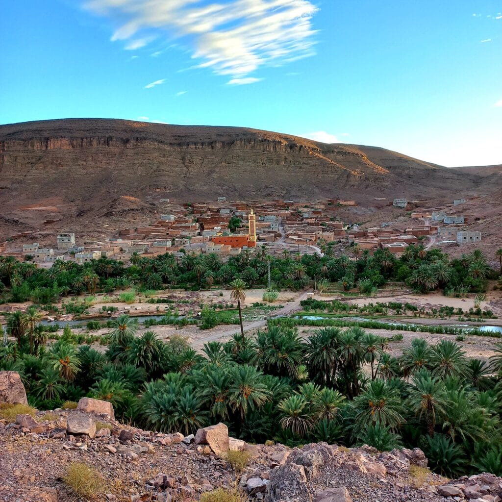 Oasis de Fint